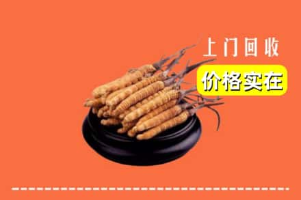 平凉市崇信回收冬虫夏草